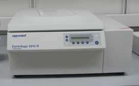 Eppendorf 5810R 15 Amp Centrifuge