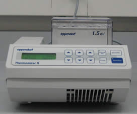Eppendorf Thermomixer-R Dry Block Heating/Cooling Shaker