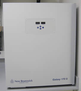New Brunswick Galaxy 170 S Direct Heat CO2 Incubator