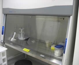 Labconco Class II Type A2 Purifier Cell Logic Biological Safety Cabinet