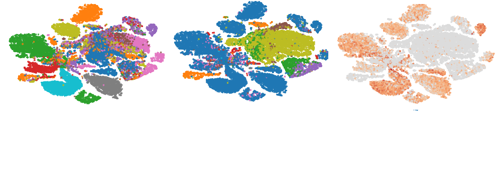 cancer patient single cell data